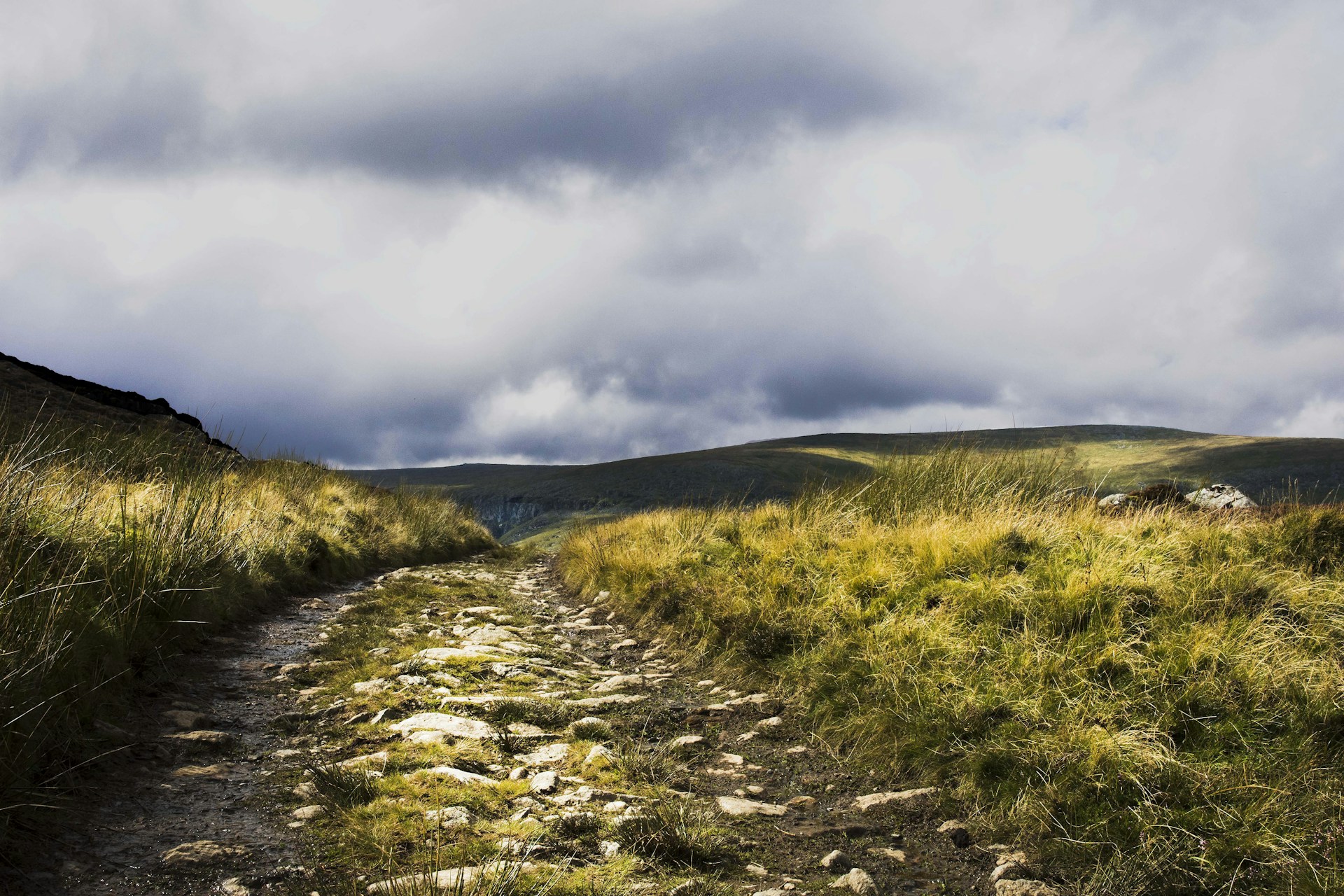 a dirt path in the middle of a grassy field