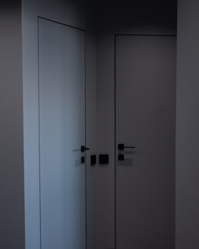 A sleek, modern door installed in a bright, contemporary home setting.