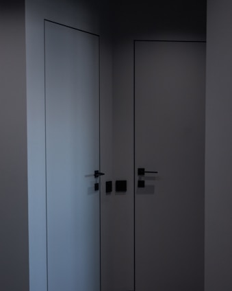 A sleek modern metal door with clean lines and a matte black finish at a contemporary entrance