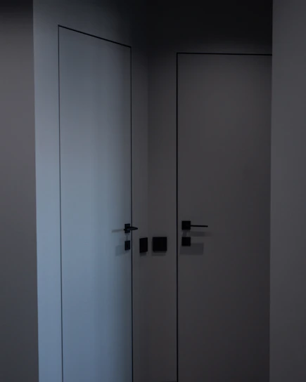 A sleek modern steel door with matte black finish and brushed steel accents, set against a dark luxury backdrop.