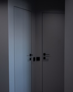 Elegant Door Pull