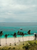 a beach with palm trees and a boat in the water