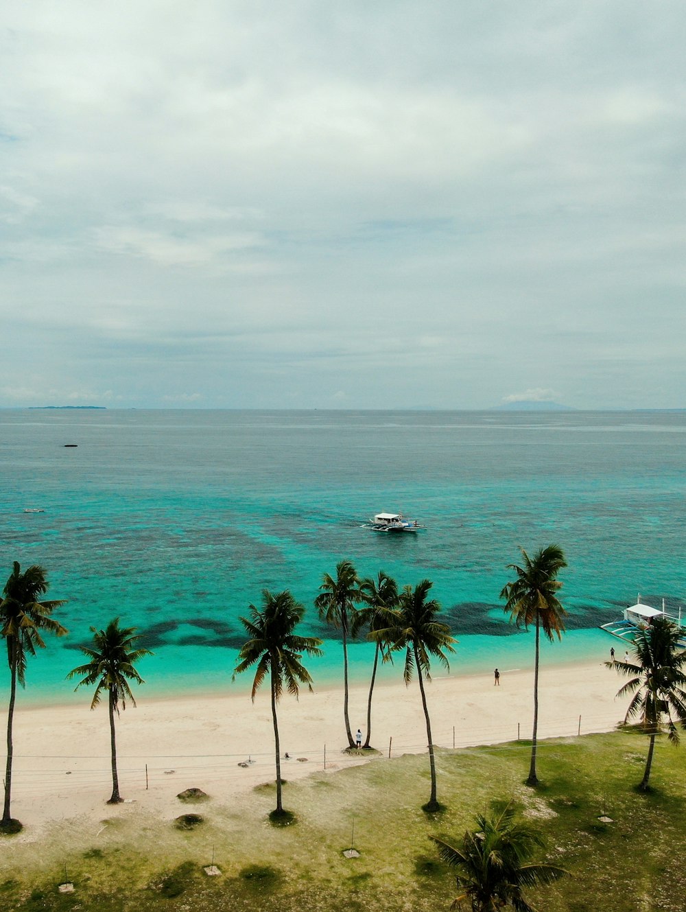 a beach with palm trees and a boat in the water