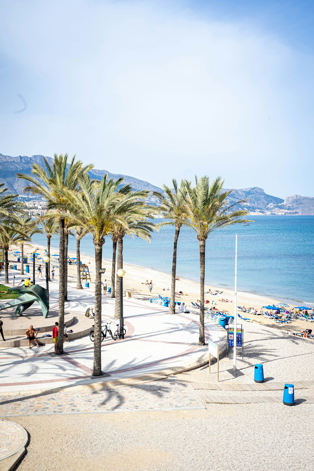 a sandy beach with palm trees and blue water