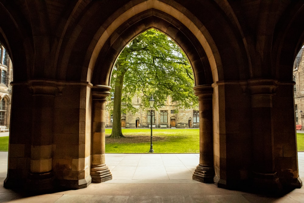 an archway in a building with a tree in the background