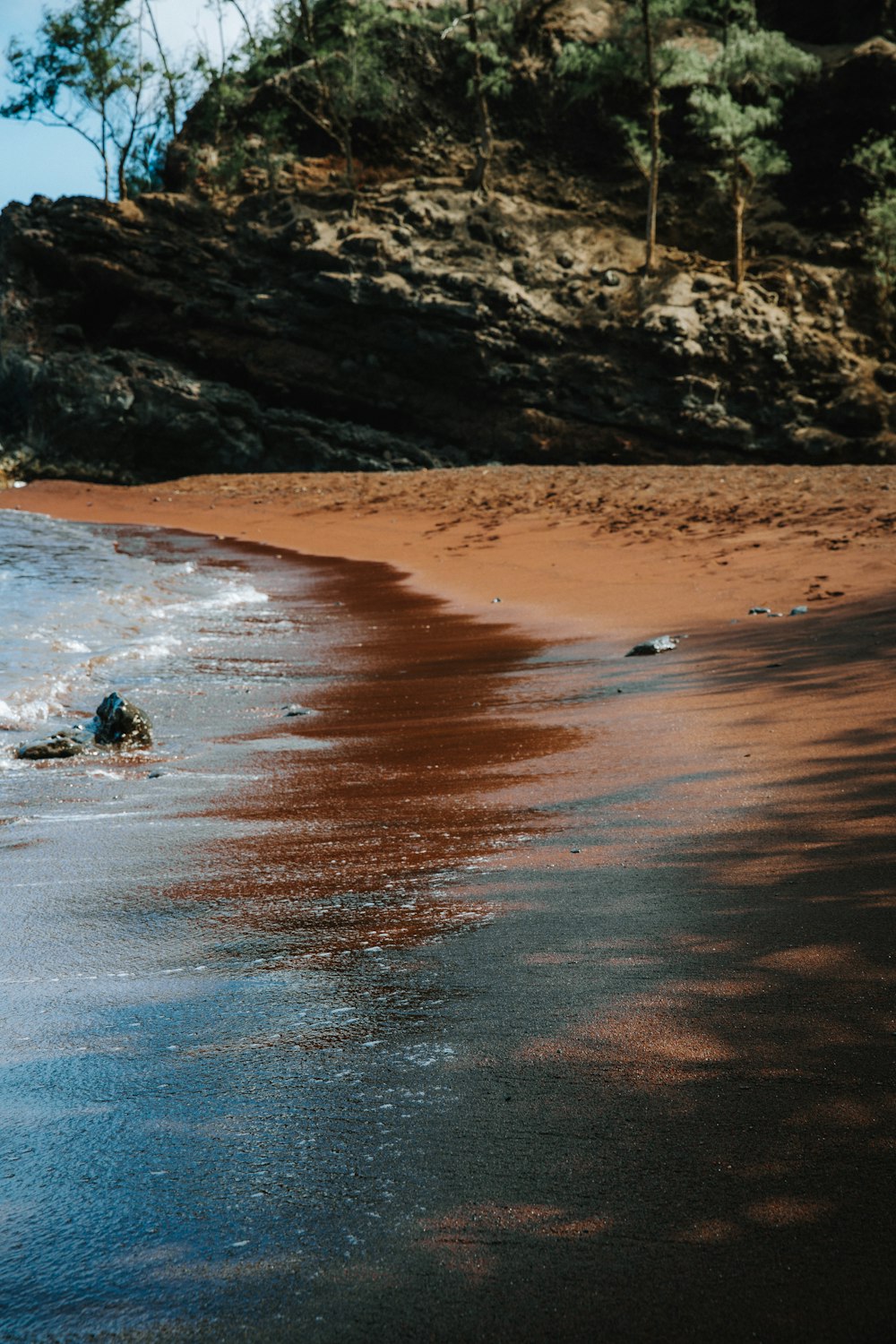 a person walking on a beach next to a body of water