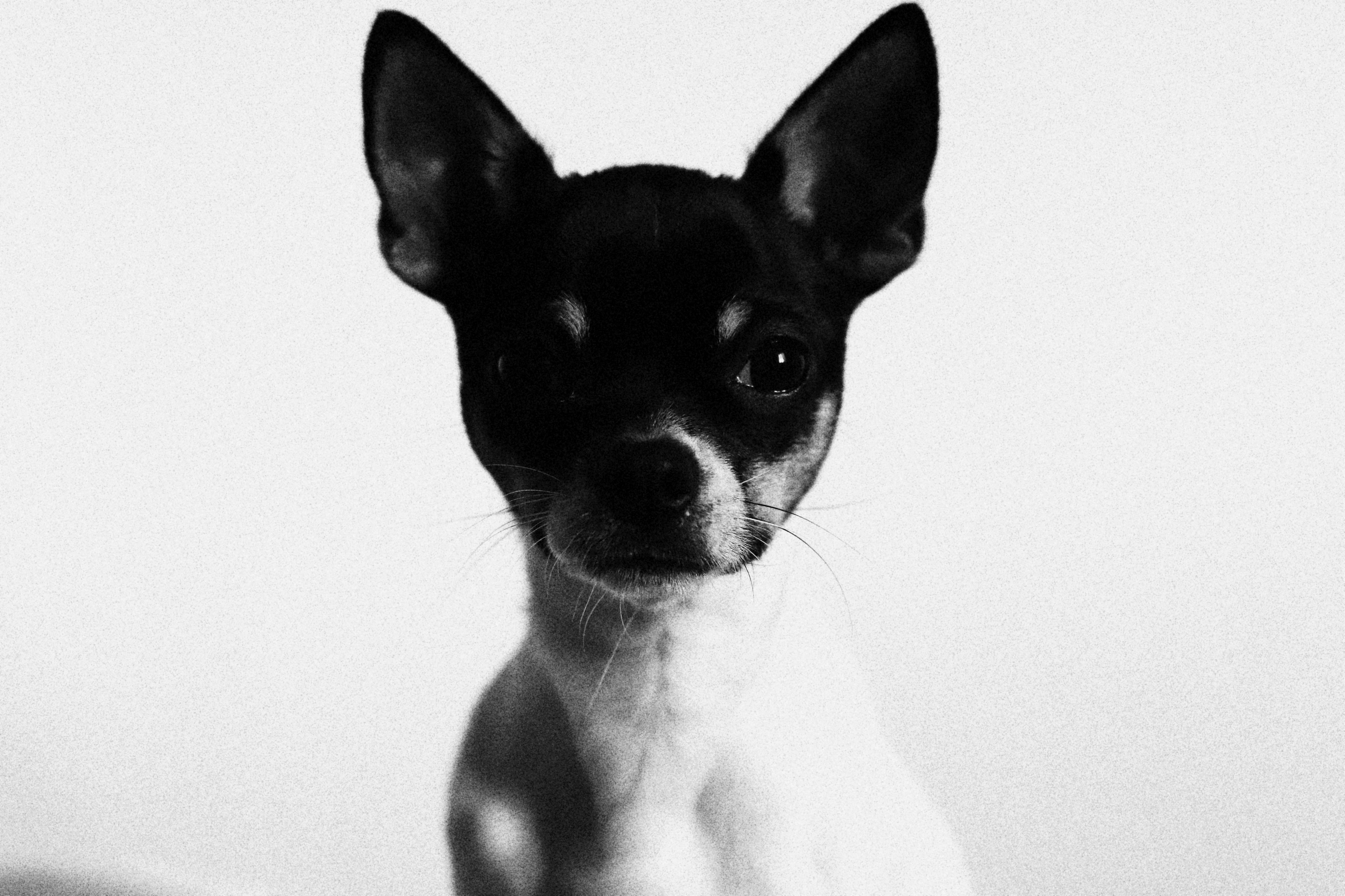 Photo by jordan_becker