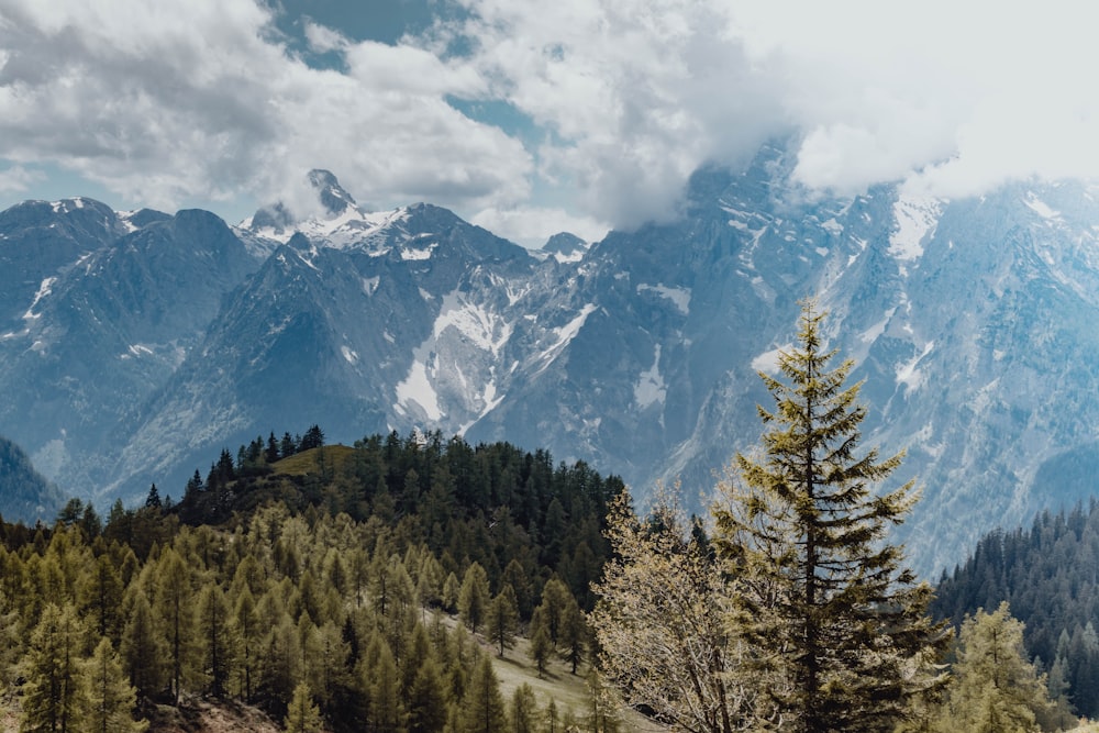 a view of a mountain range with trees in the foreground