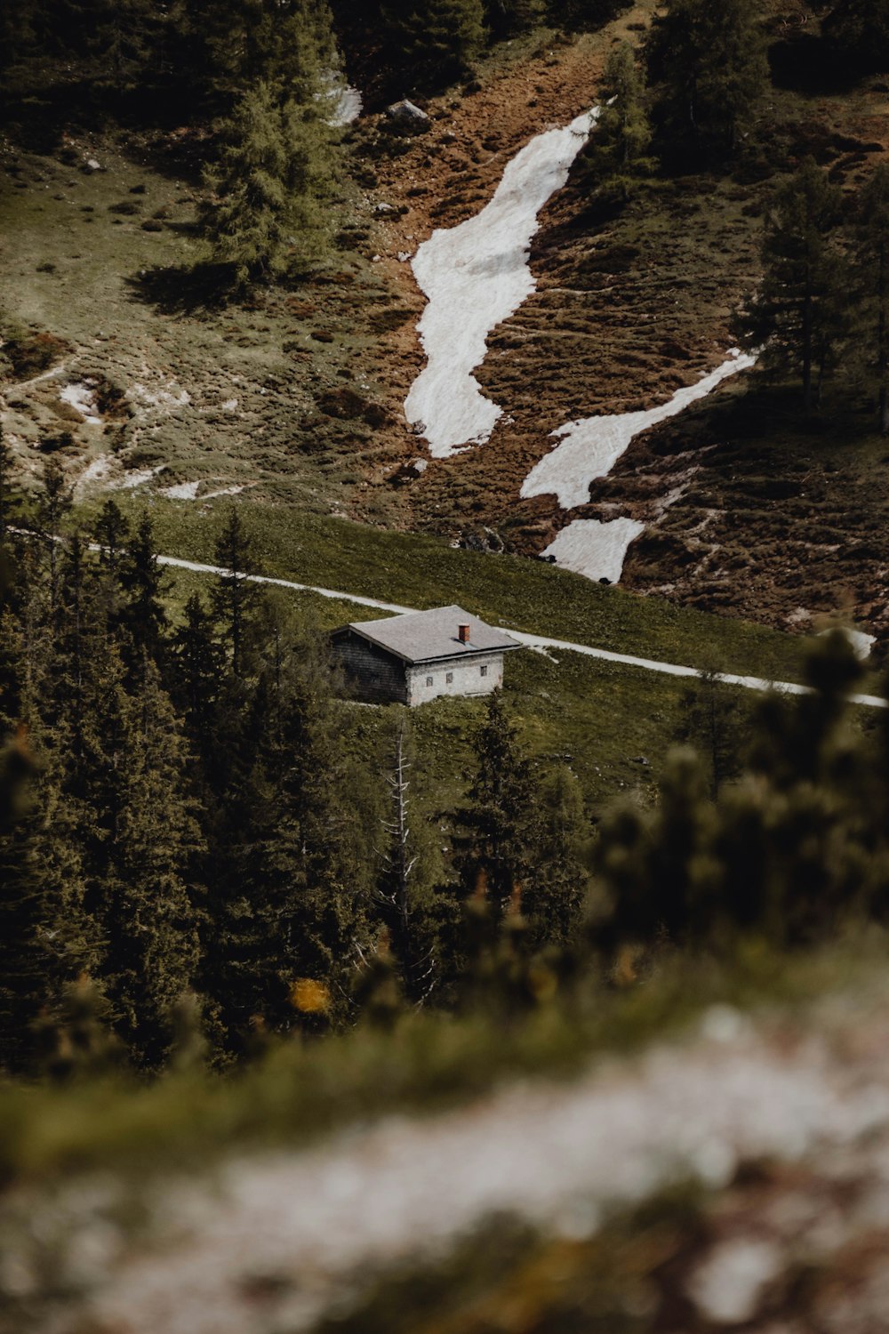 a small house in the middle of a forest