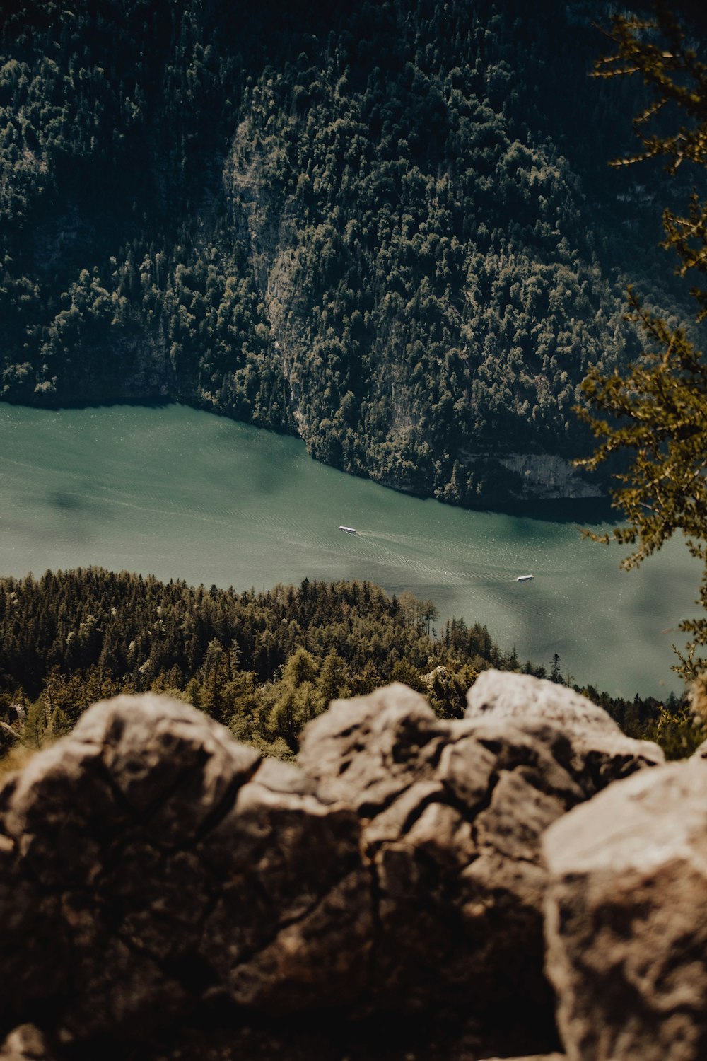 a view of a body of water surrounded by trees