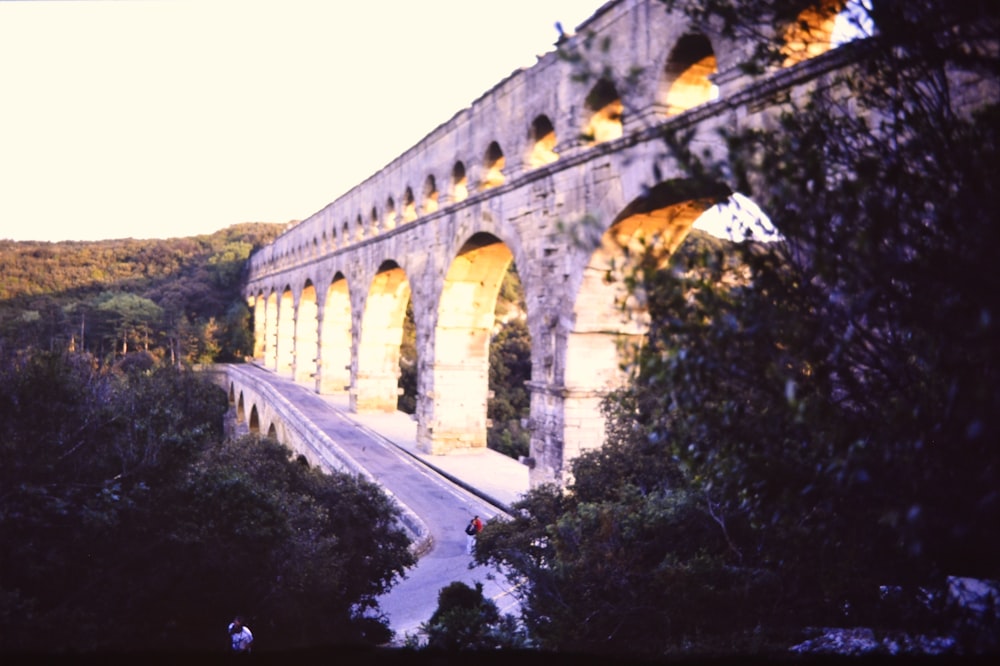 a stone bridge over a river surrounded by trees