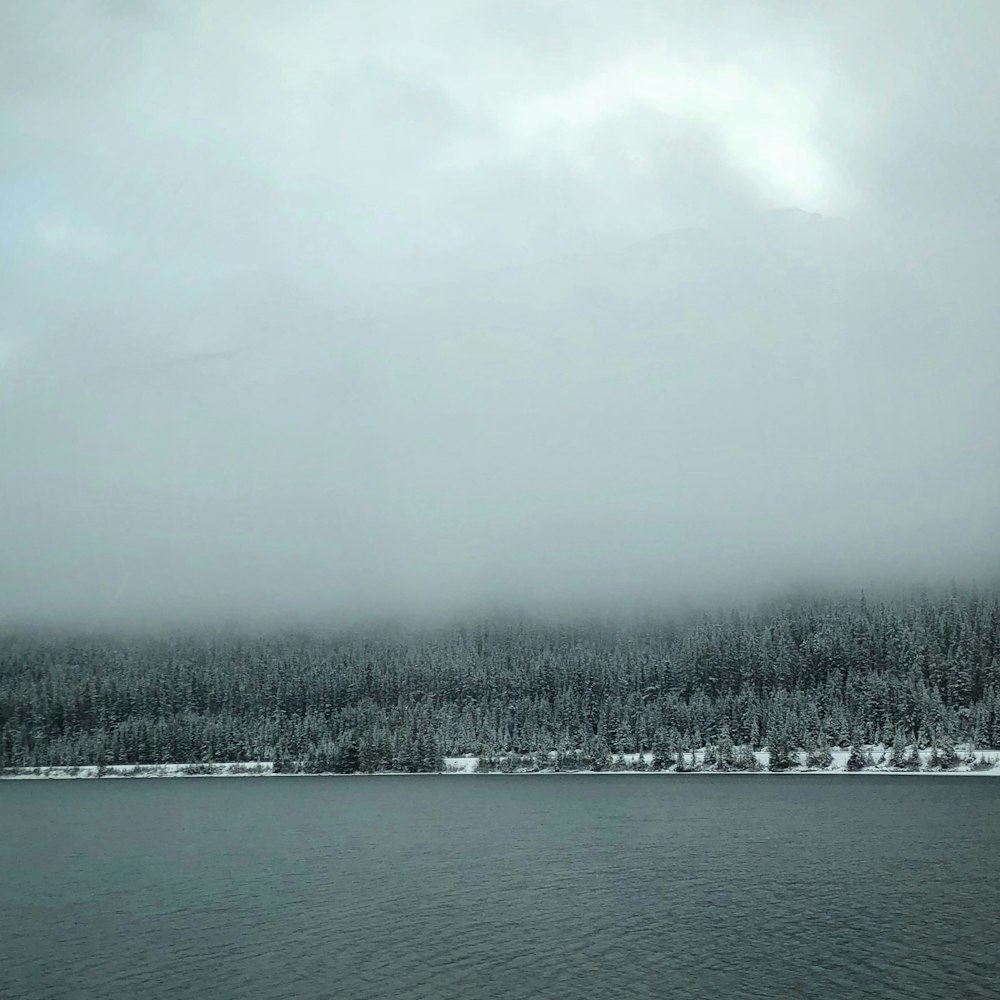 a body of water surrounded by snow covered trees