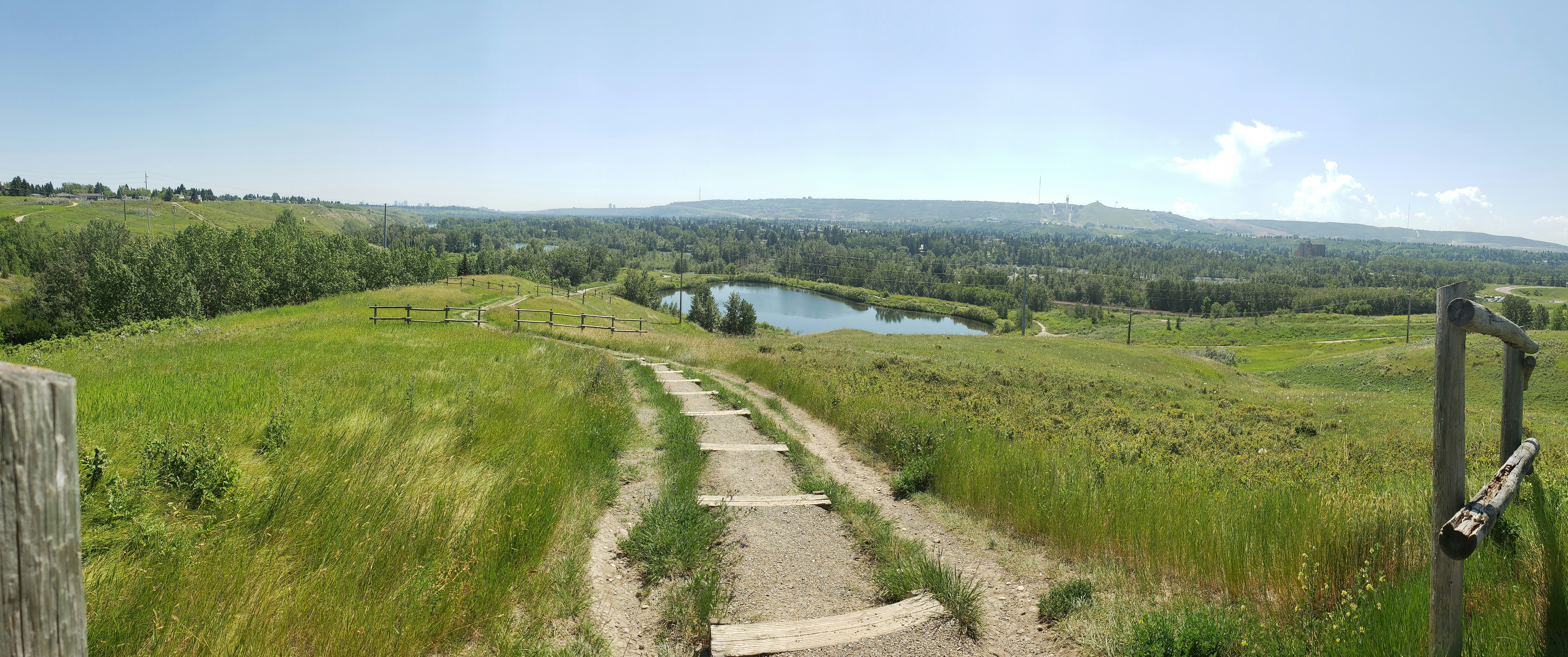 Grasshopper Hill