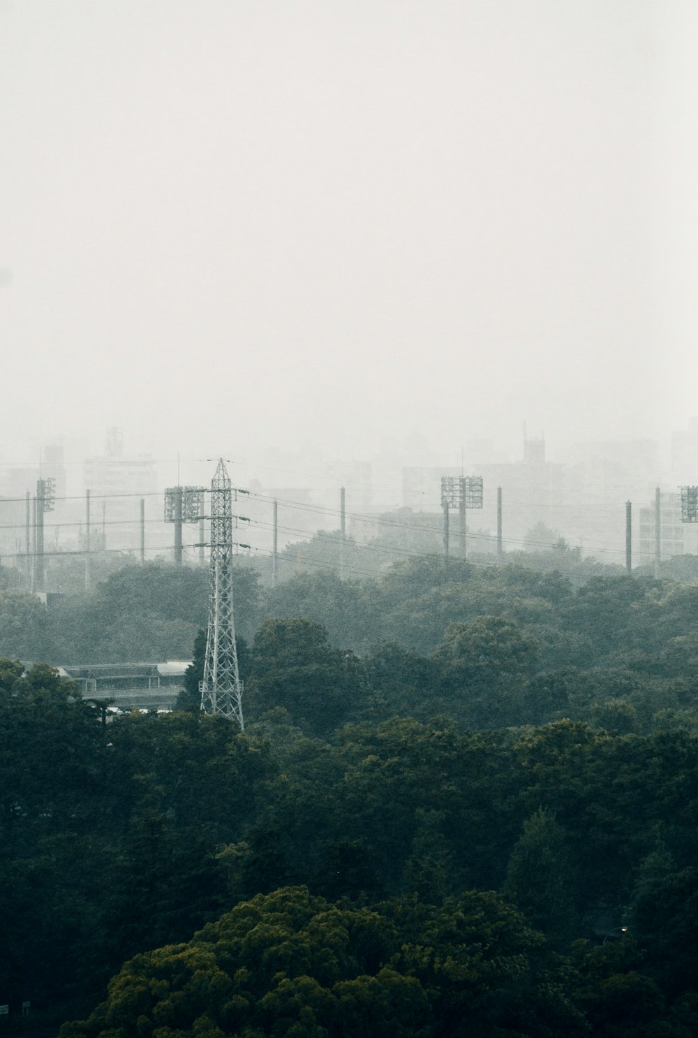 a foggy view of a city with lots of trees