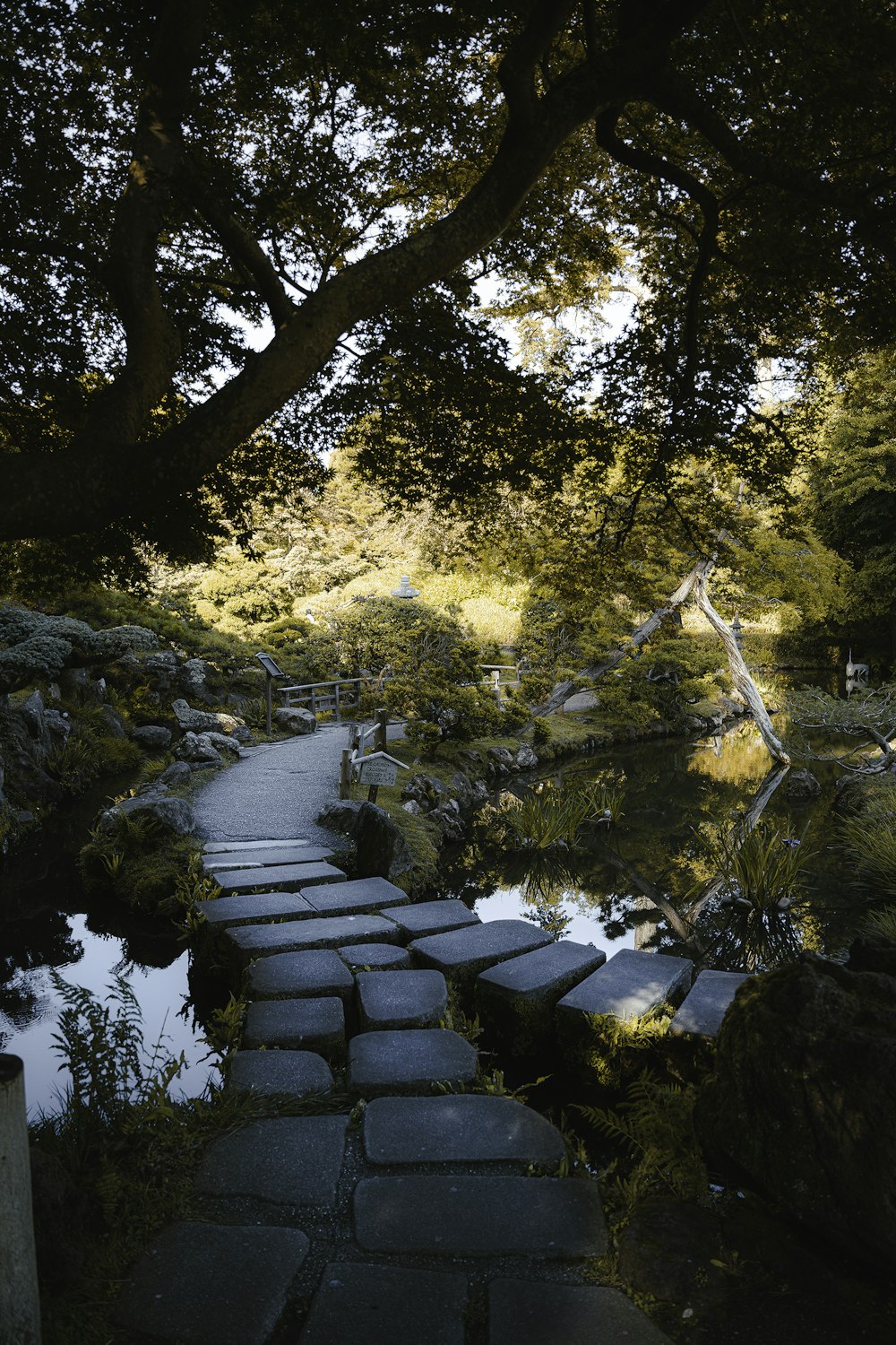 a stone path leading to a pond surrounded by trees
