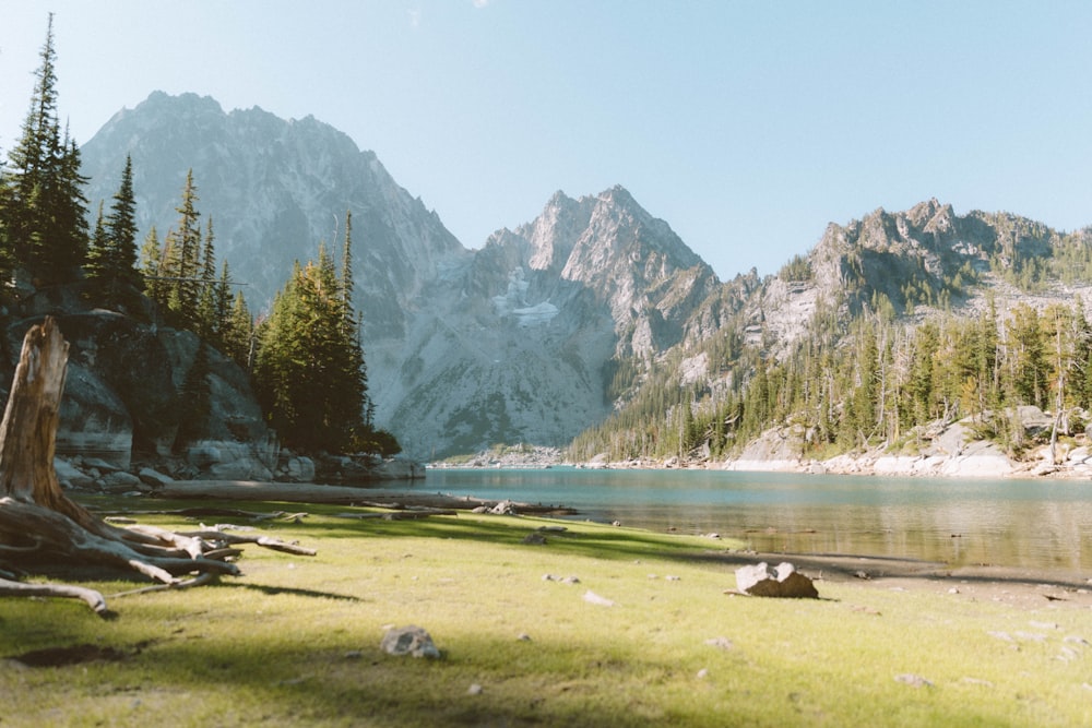 a lake surrounded by trees and mountains