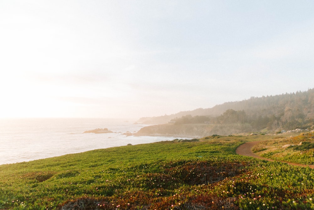 a bench on a grassy hill overlooking a body of water