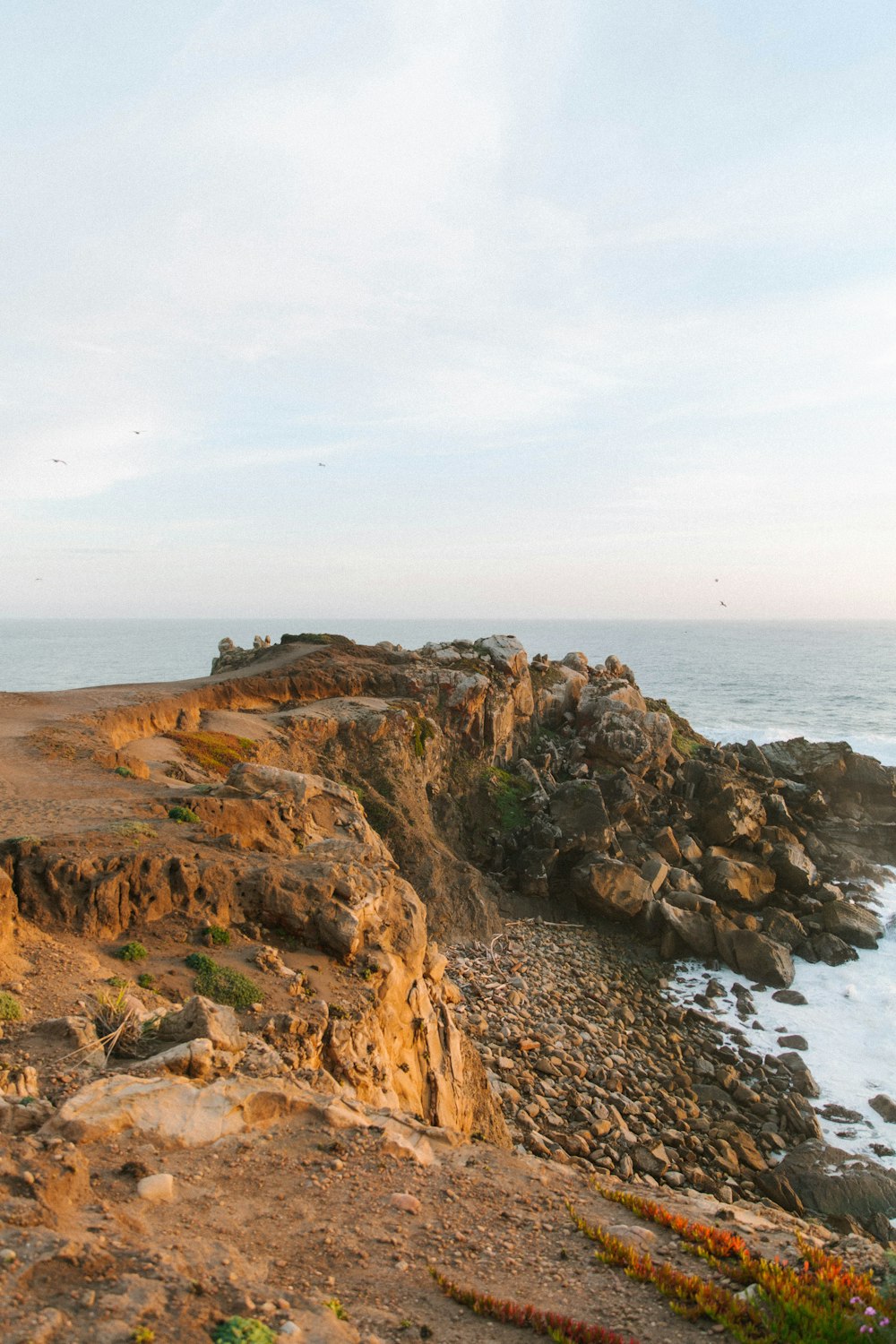 a rocky shore with a body of water in the background