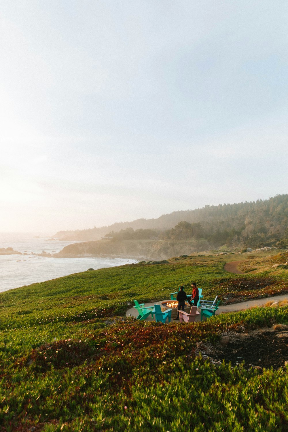 a couple of people sitting on top of a lush green field