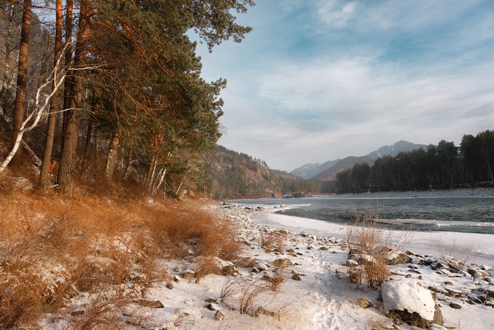 a snow covered field next to a body of water