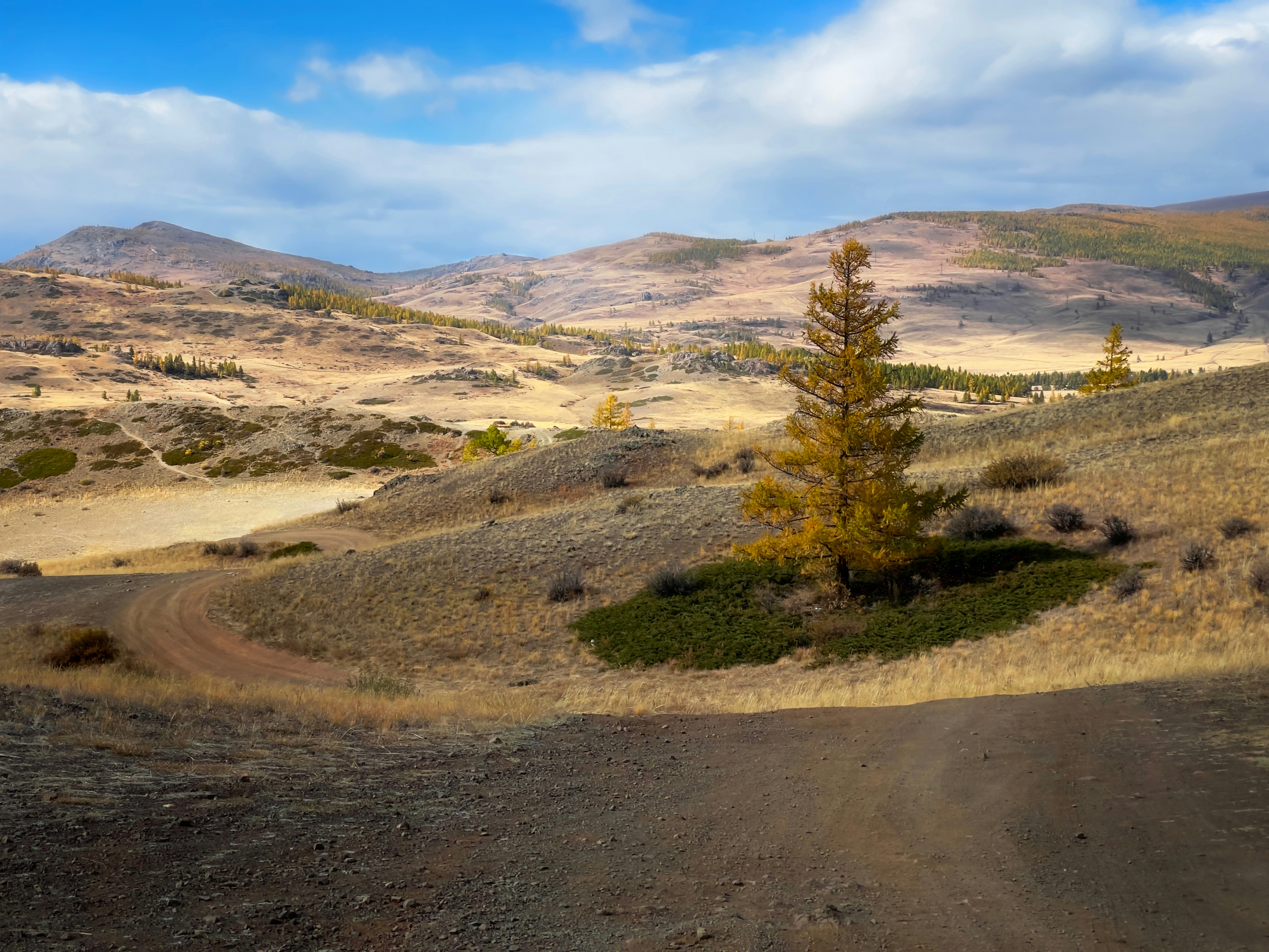 Photo by mrparalloid