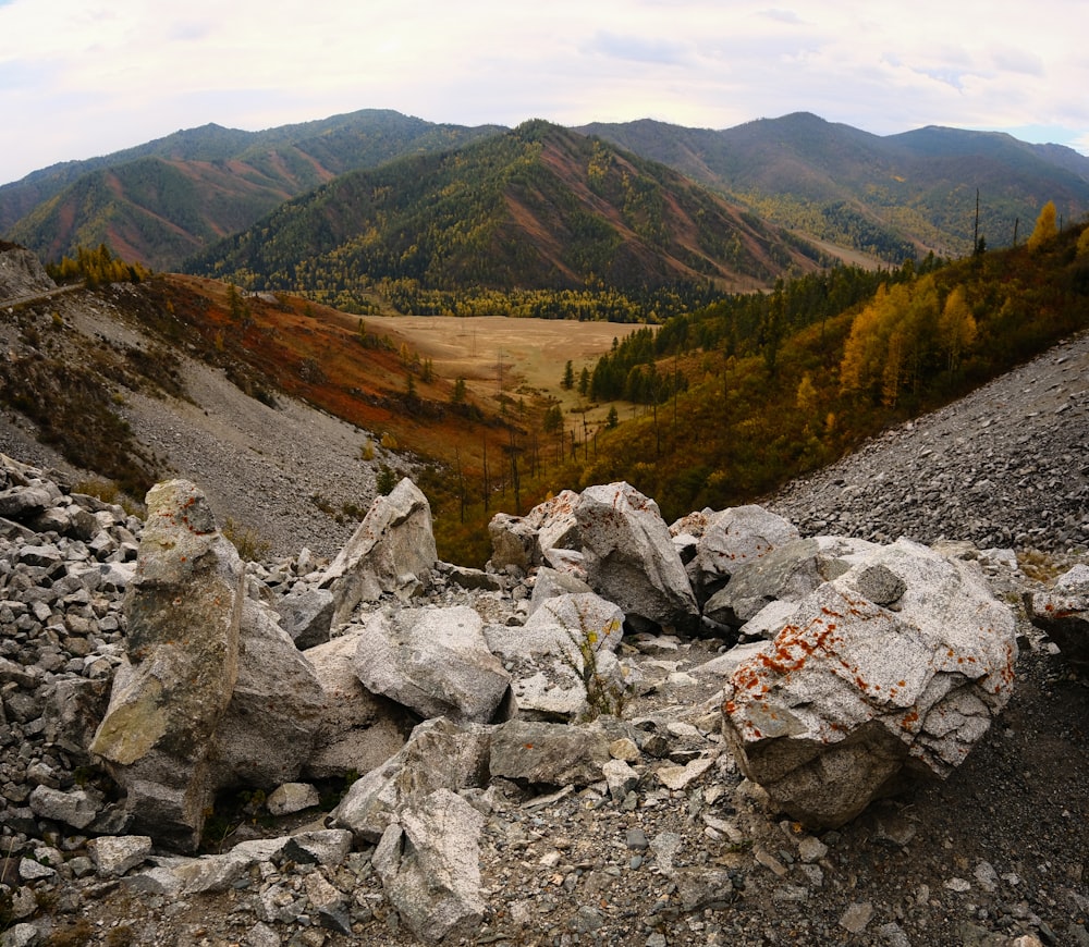 a rocky area with rocks and trees in the background