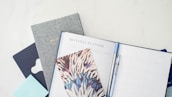 A collection of stationary items including a monthly planner, a bullet journal, a decorative notebook, and a pen. The arrangement is on a light, clean surface, featuring a combination of both minimal and artistic designs.