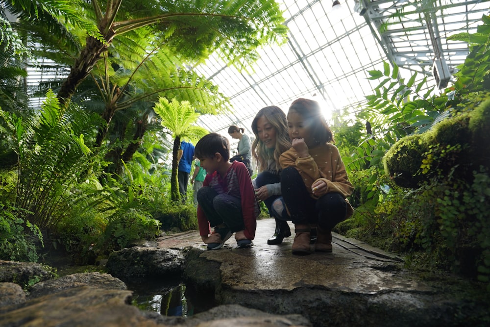 a group of people standing around a lush green forest