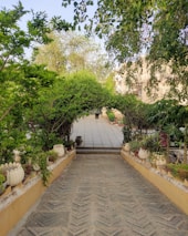 A beautifully designed backyard with stone pathways and native plants.