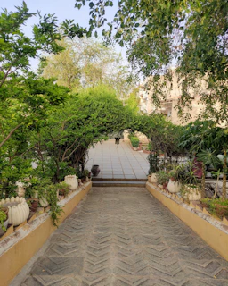 Peaceful courtyard garden with colorful plants and a stone pathway.
