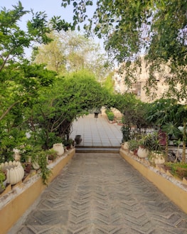 A beautifully designed backyard with stone pathways and native plants.