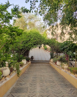 Close-up of intricate stone pavers arranged around a garden pathway with lush greenery.