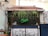 An outdoor bar features a neon sign with the word 'Tequila', surrounded by lush green foliage. The roof is tiled in red, and the bar area includes glass bottles and various items. Below the bar counter, a black and white mural depicts skeletons engaged in a humorous race. The setting is casual with nearby furniture and potted plants.