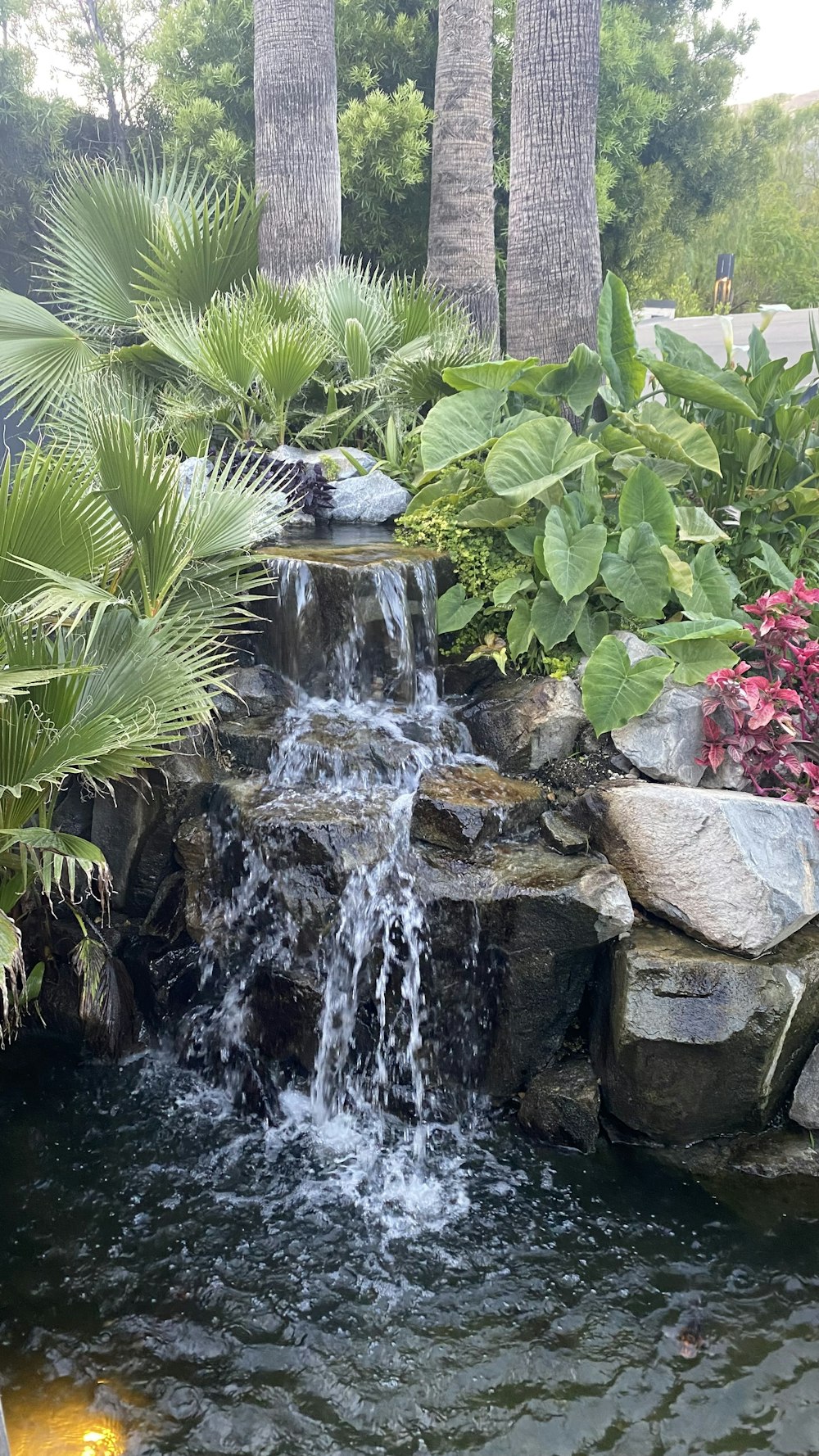 a pond with a waterfall surrounded by tropical plants