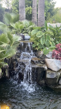 Piscine Lagon vs Piscine Classique : Avantages et Comparatif