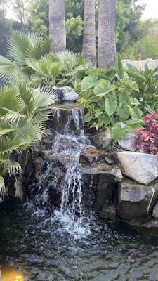 Piscine lagon naturelle