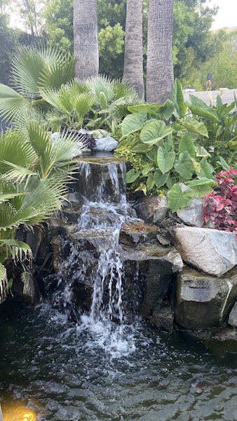 Avant/Après - Rénovation Complète Jardin