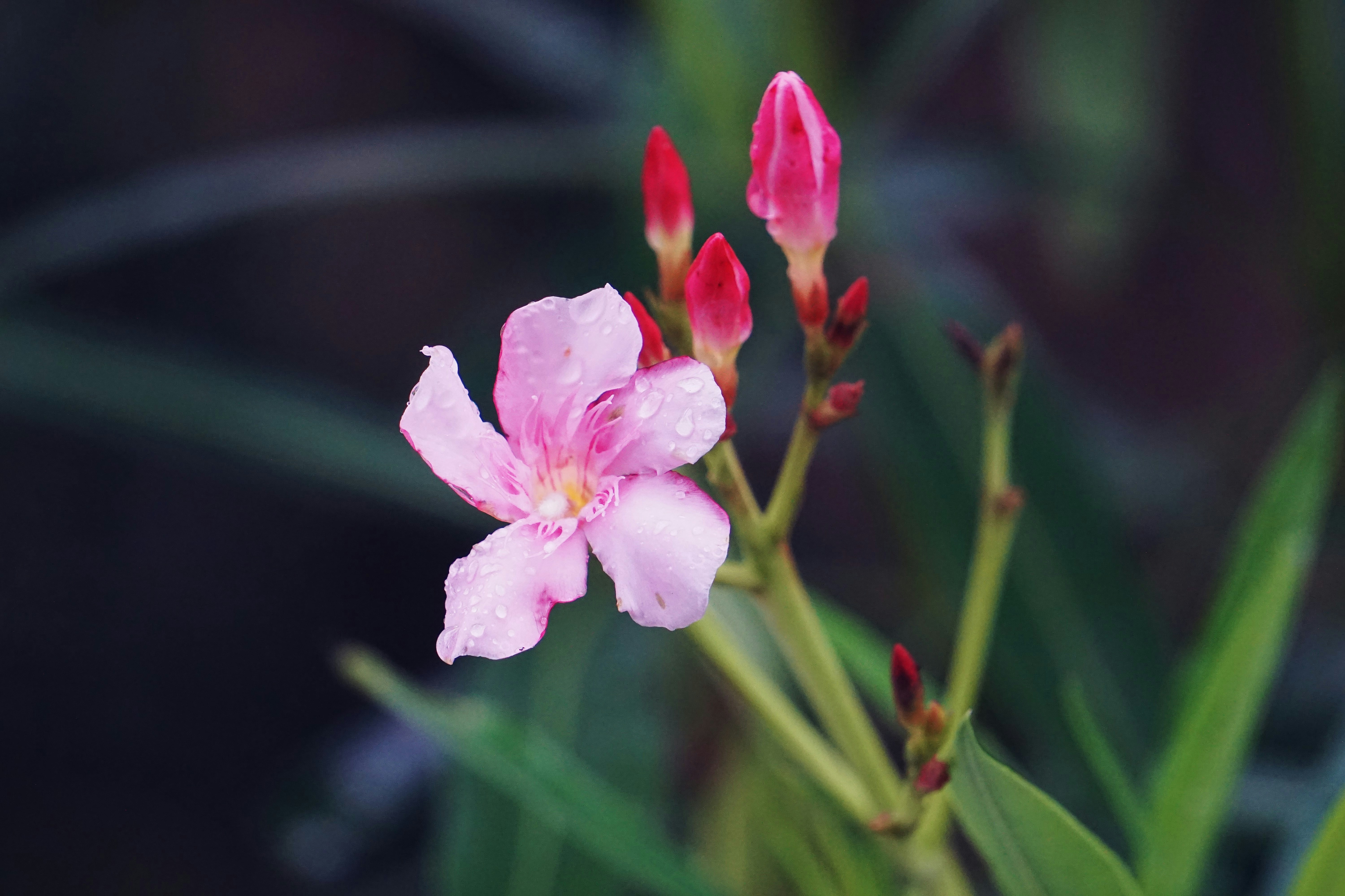 Photo by helen_susan