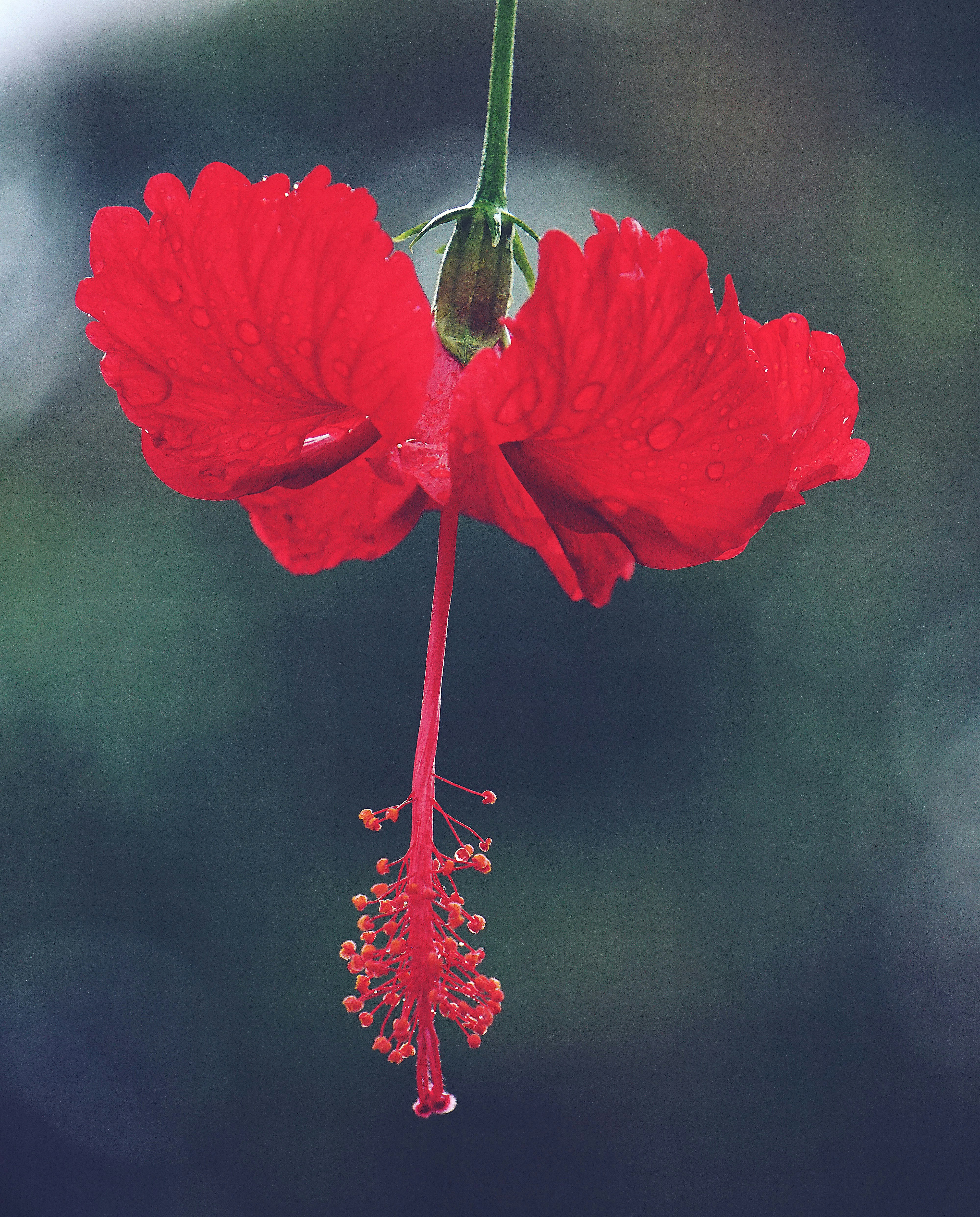 Photo by helen_susan