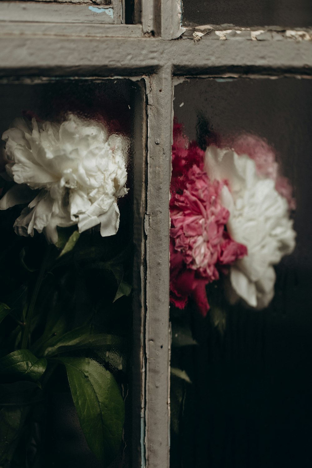 a bunch of flowers sitting in a window sill