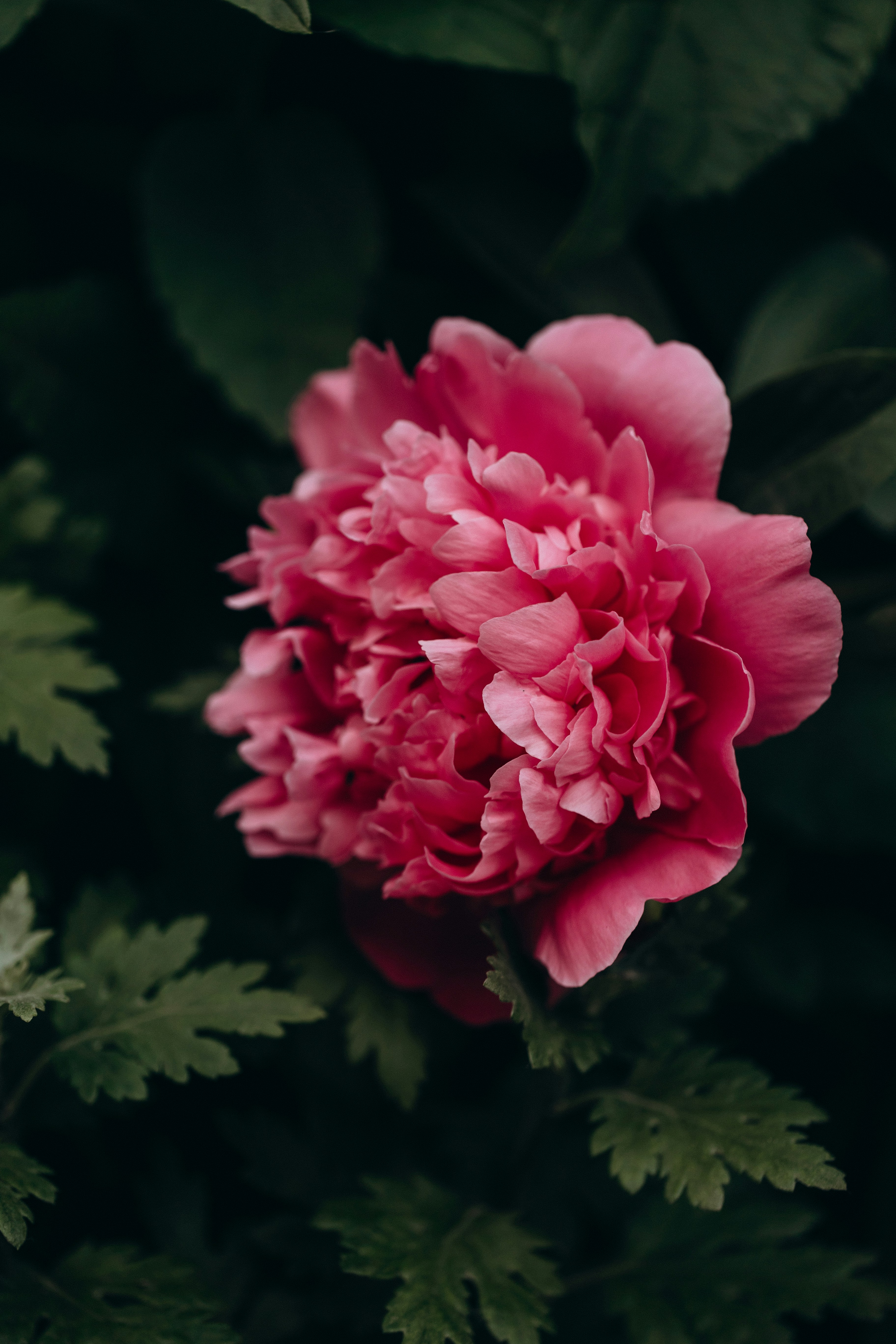 Photo by raspopovamarisha