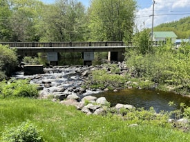 A gently flowing stream runs beneath a concrete bridge surrounded by lush greenery. Trees and bushes, featuring various shades of green, line the banks of the stream. The water appears clear, with visible rocks among the moving current. In the background, a small building with a green roof can be seen, along with a utility pole and wires.