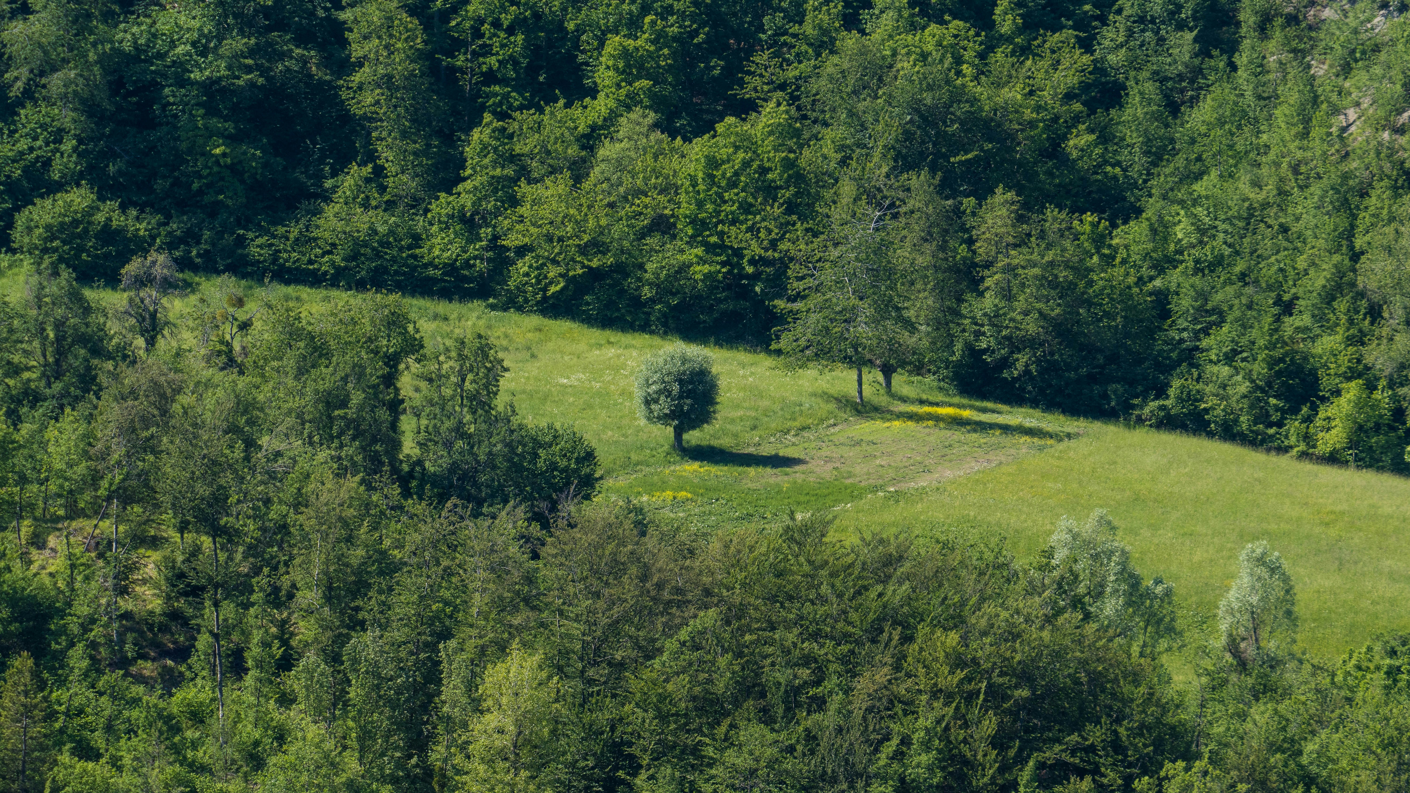 Photo by matteo_skyrider