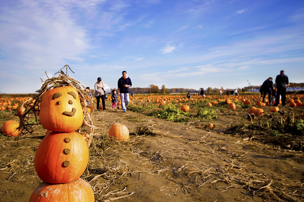 a group of people standing around a pumpkin patch