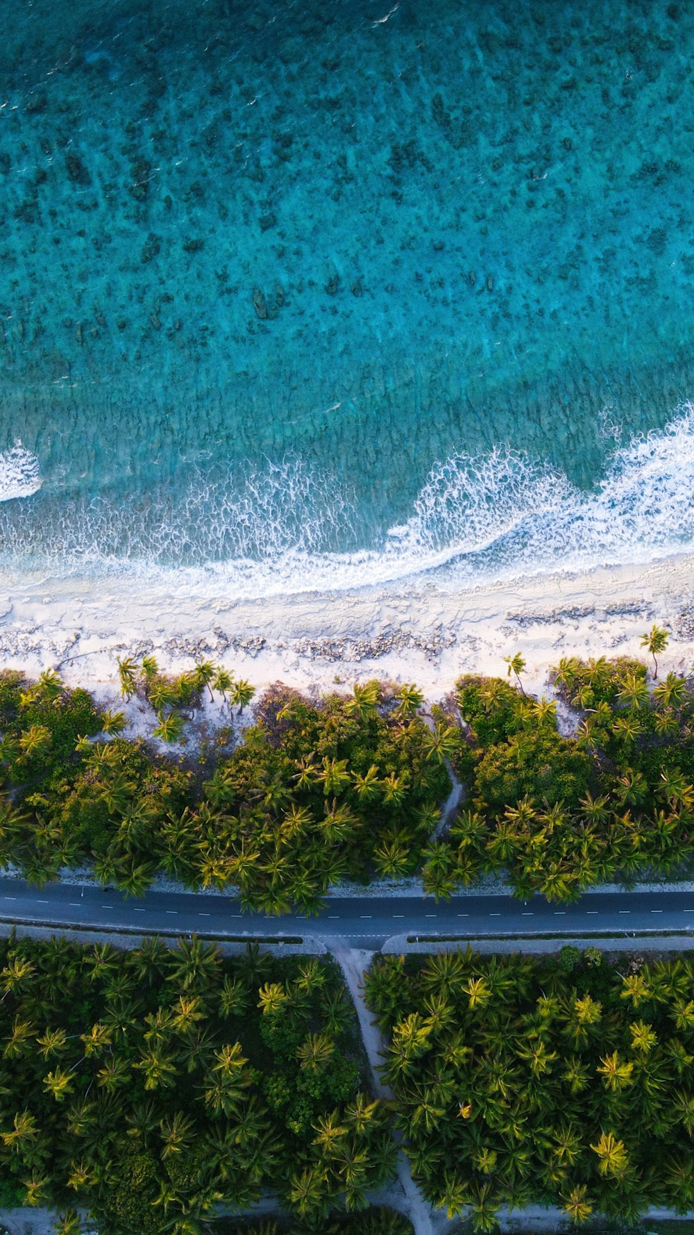 an aerial view of a beach and a road