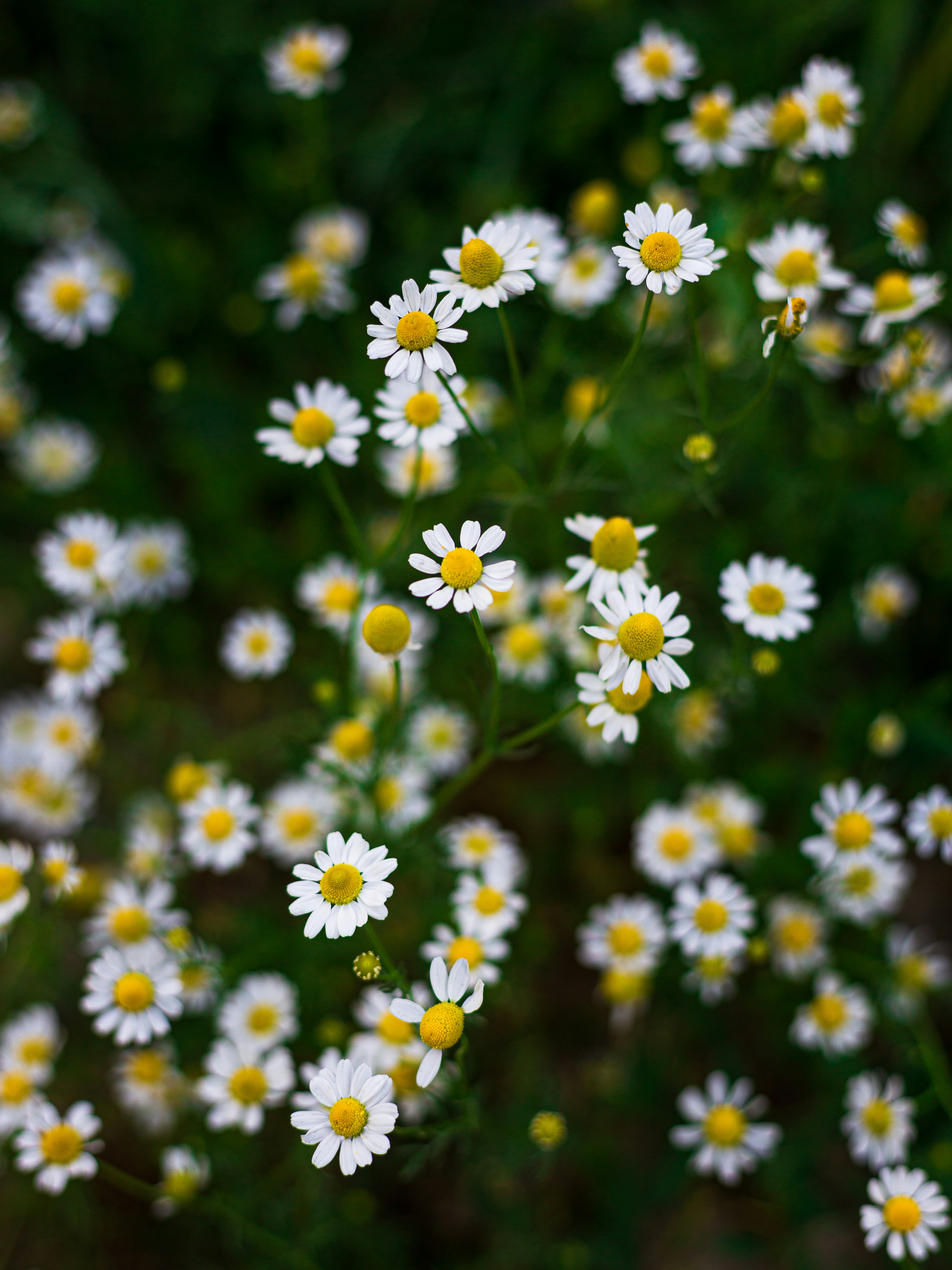 Photo by andreevaleksandar