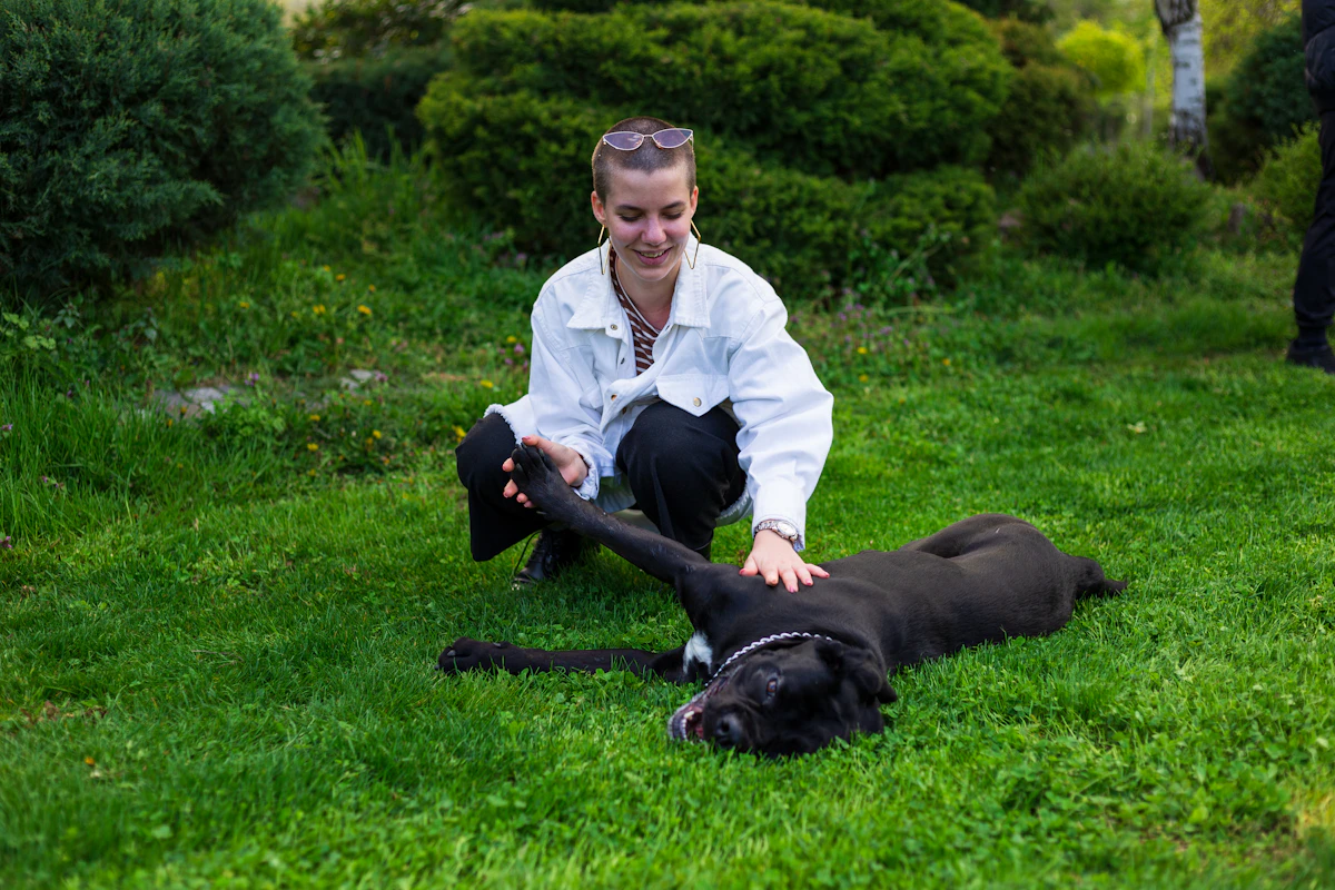 Scale Waitlist Fill for Cancelled Vet Slots 2026 (Step-by-Step)