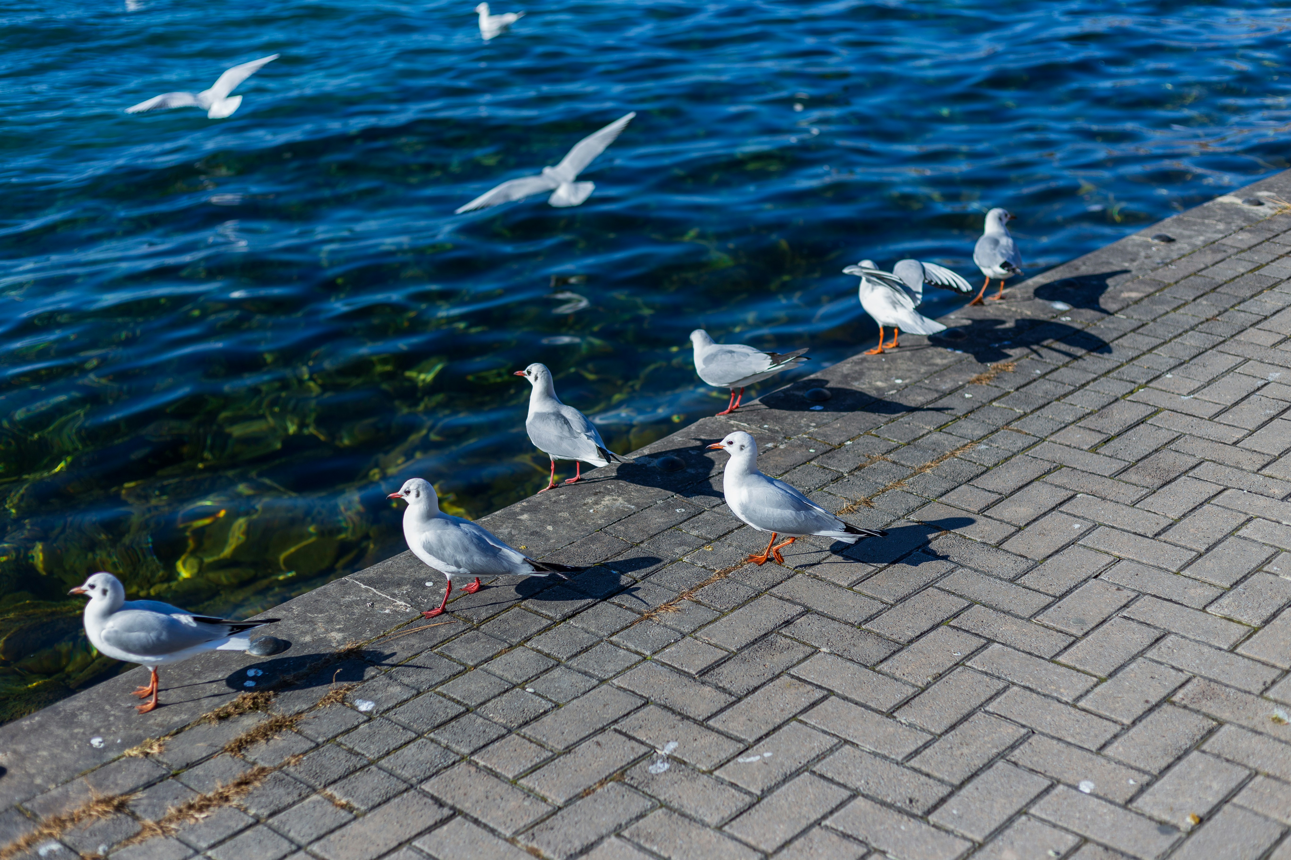 Photo by andreevaleksandar