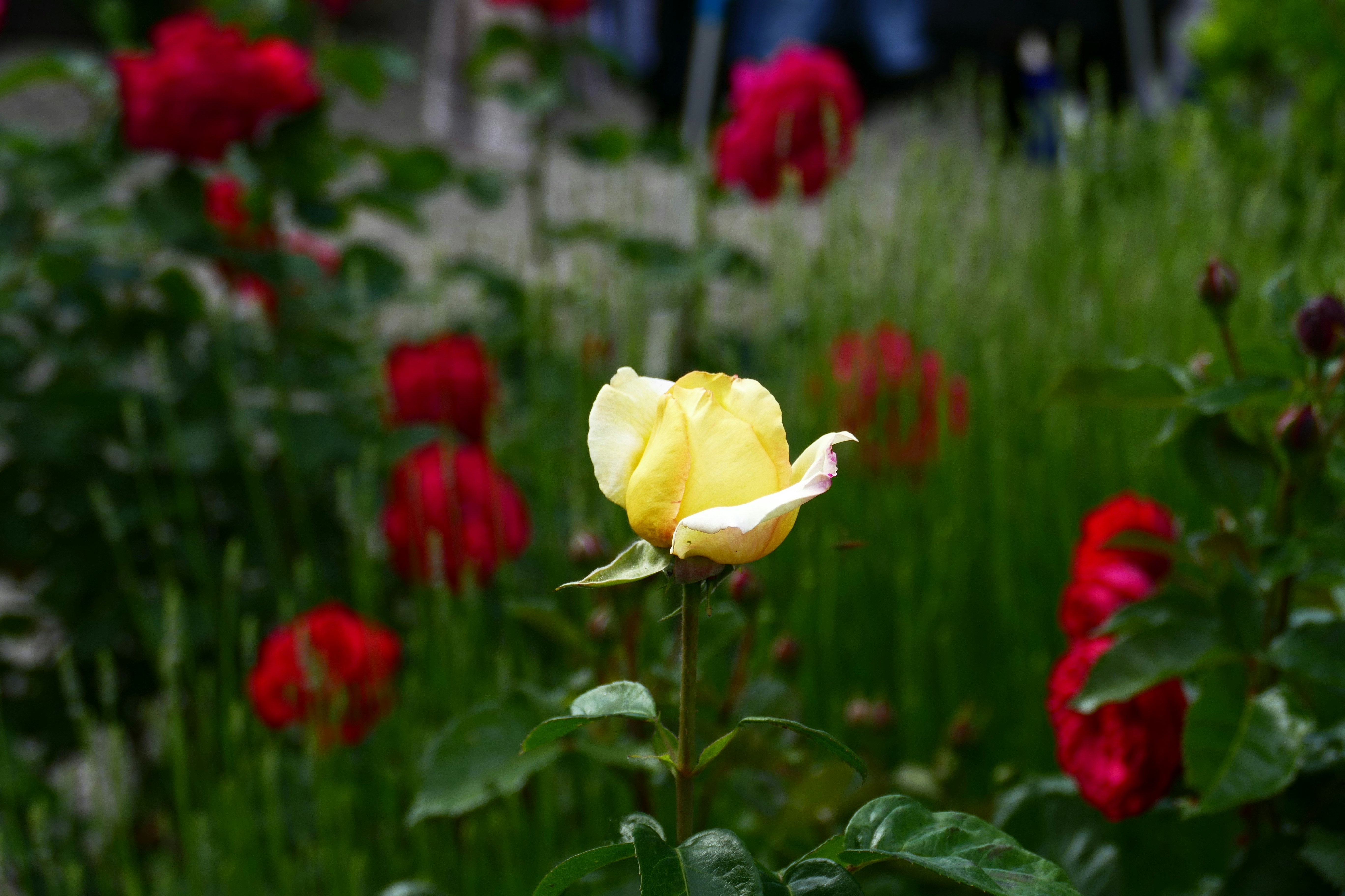 Photo by loveshag