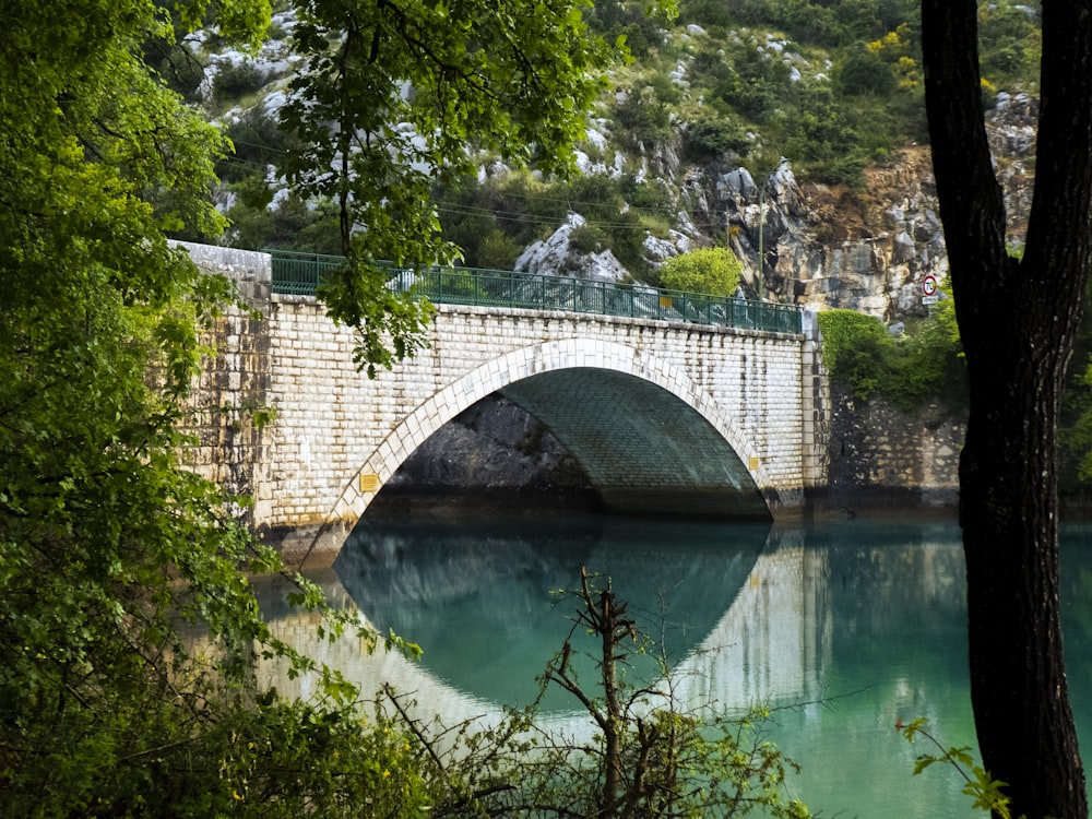 a bridge over a body of water surrounded by trees